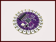 lilypad